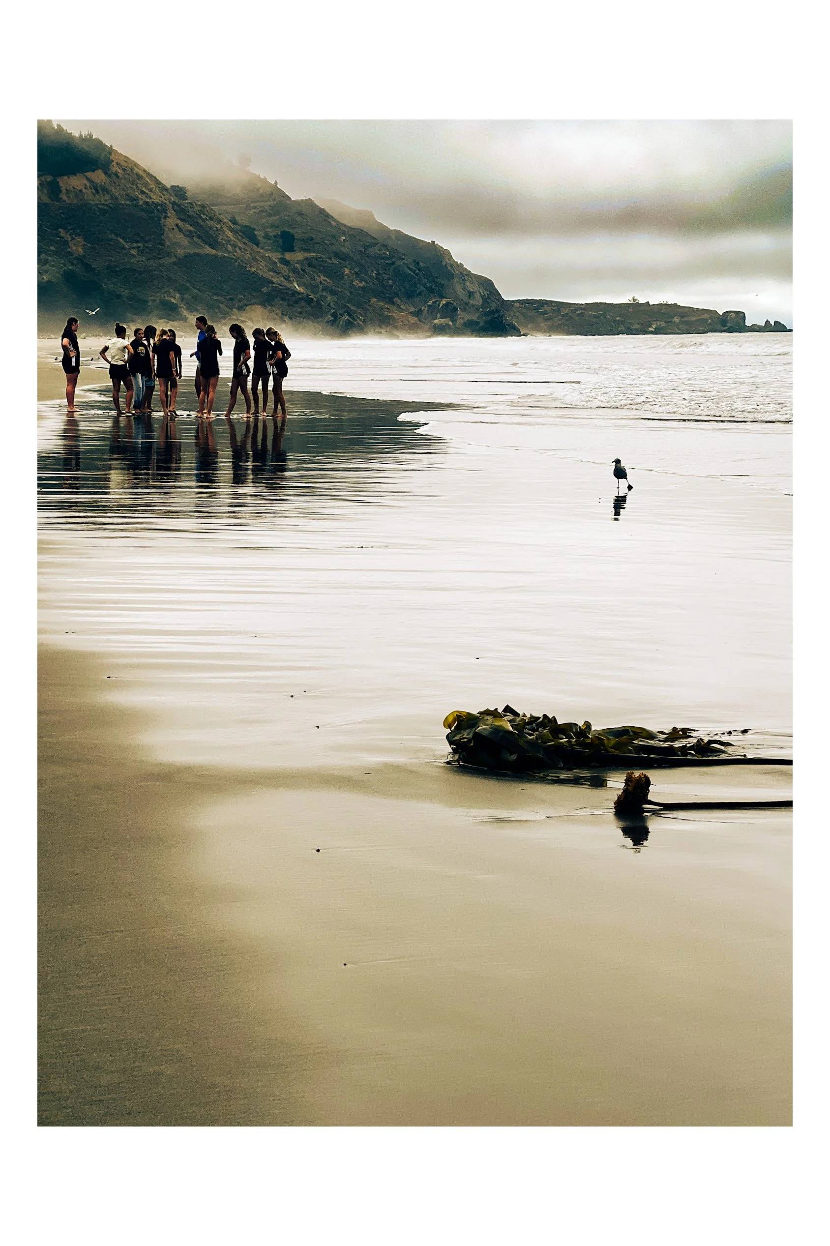 A group of people standing in shallow water on a beach with a rocky shoreline and cloudy sky in the background, with a seagull standing on the sand in the foreground. California beach scene.